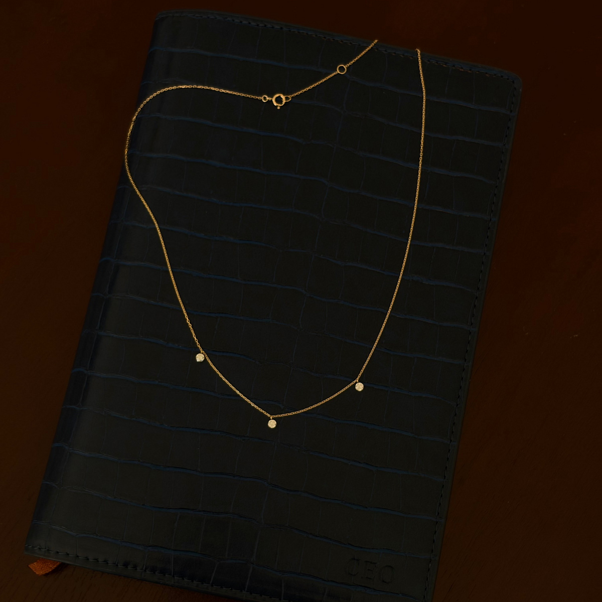 NEW Ella Diamond Station Necklace
