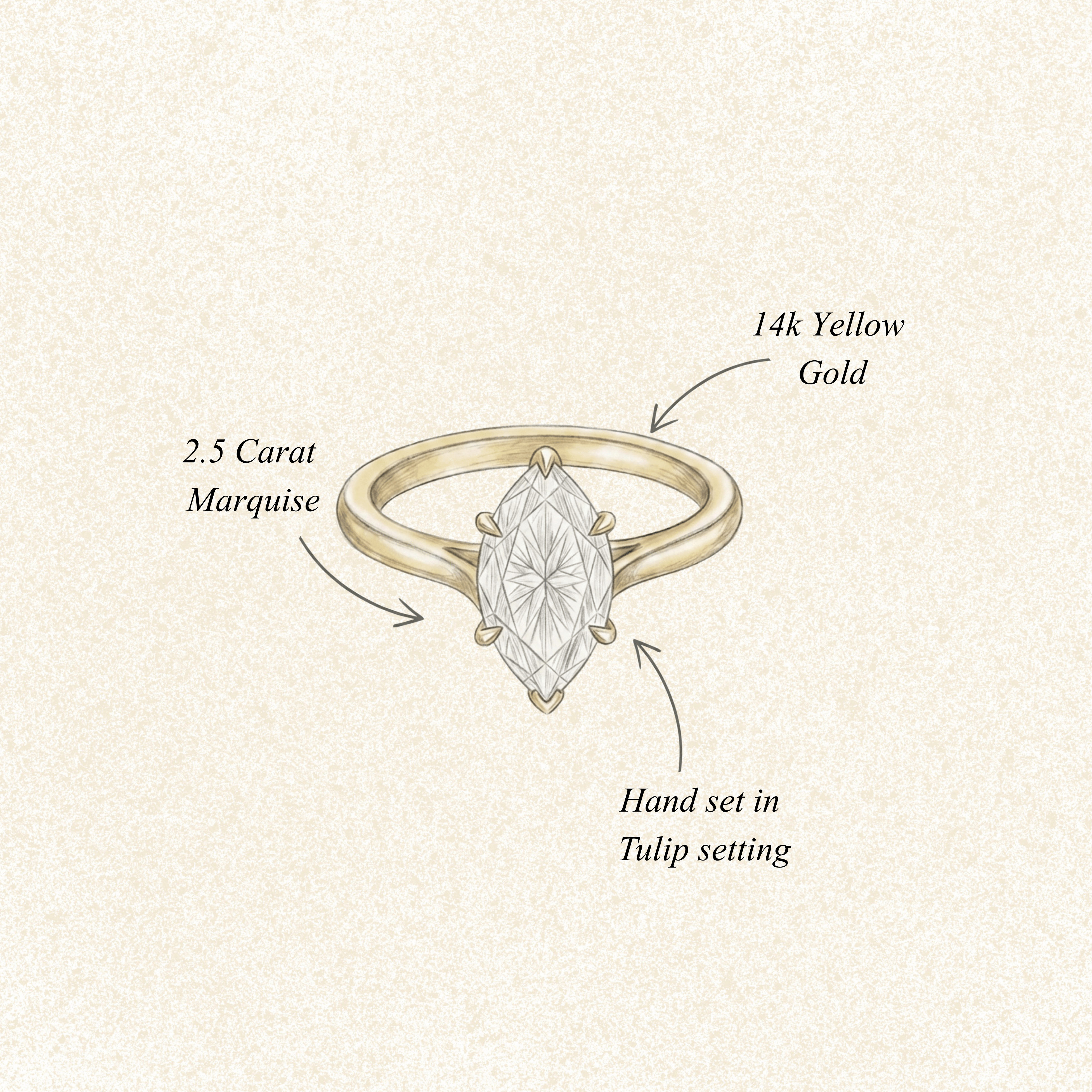 A hand-drawn illustration of a gold ring with a marquise-cut gemstone, surrounded by text labels indicating '2.5 Carat Marquise', '14k Yellow Gold', and 'Hand set in Tulip setting' on a textured cream background.